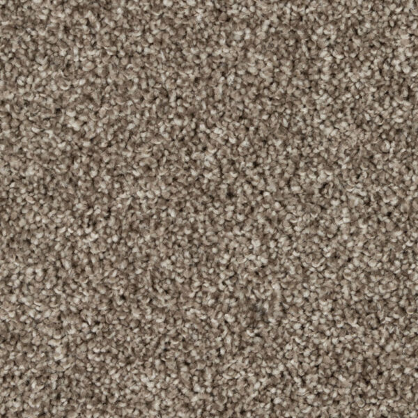 Silky Sparkle - Image 4