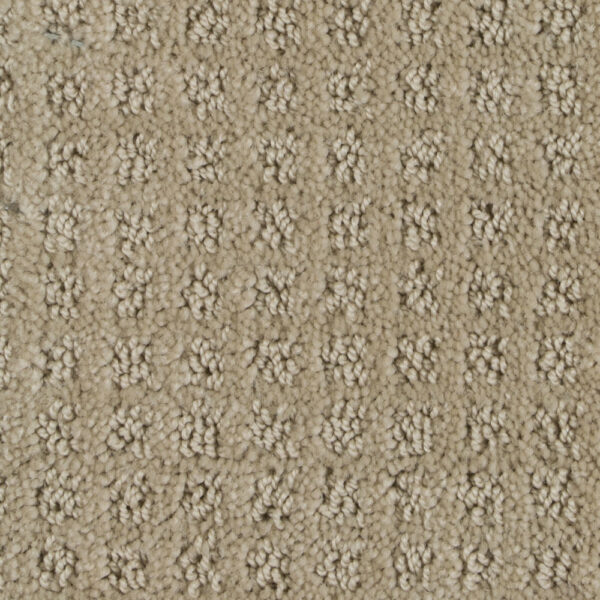 Basenji for Moore Flooring + Design webpage Basenji