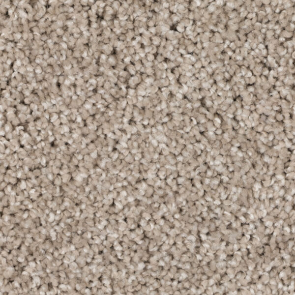 Silky Glimmer - Image 7