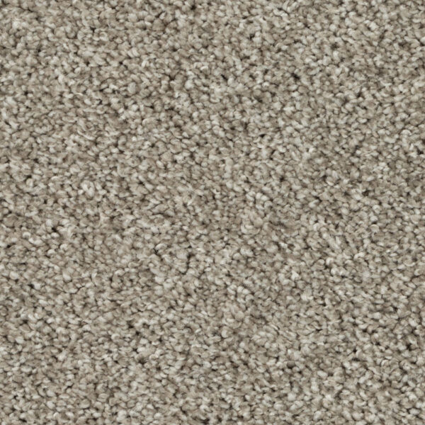 Silky Sparkle - Image 10