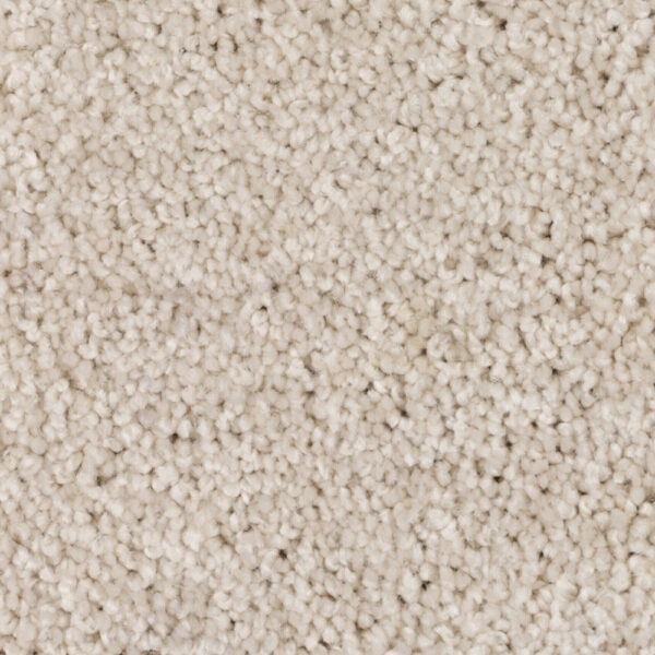 Silky Glimmer - Image 2