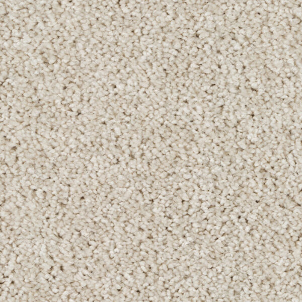 Silky Sparkle - Image 12