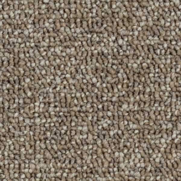 Silex III - Image 4