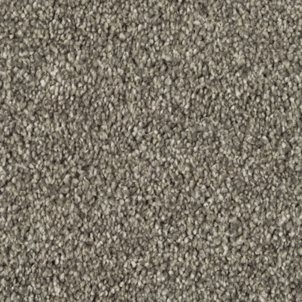 Silky Dazzle - Image 5