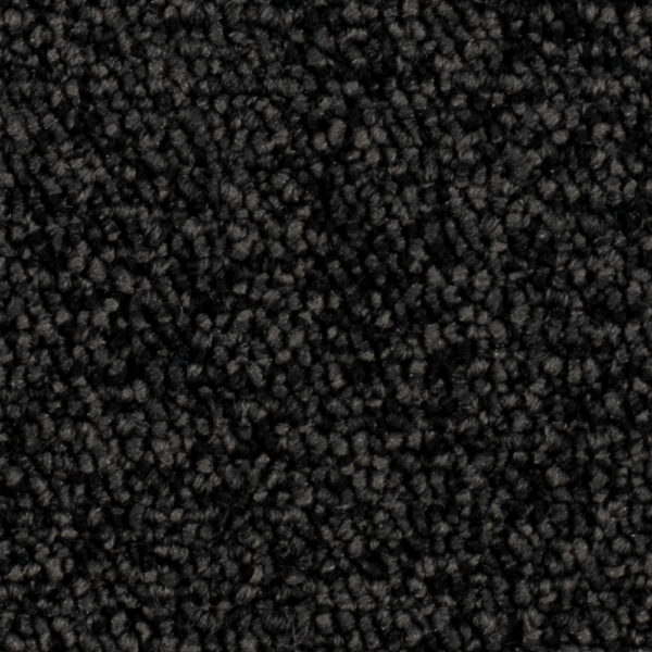 Silex III - Image 7