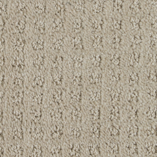 Basenji for Moore Flooring + Design webpage Basenji