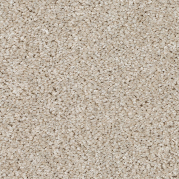 Silky Sparkle - Image 3