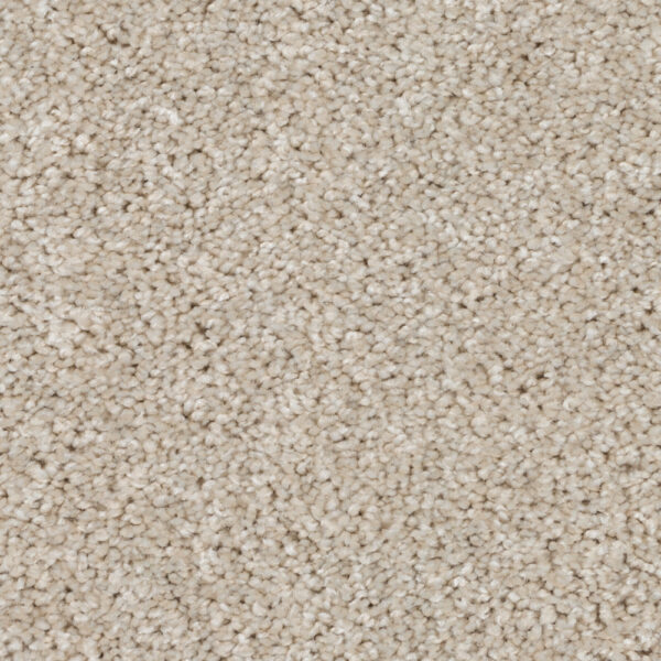 Silky Sparkle for Moore Flooring + Design webpage Silky Sparkle