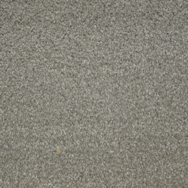Terrier - Image 3