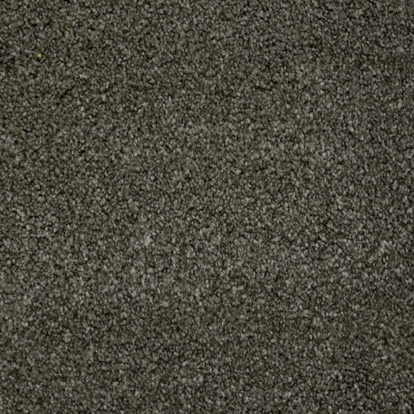 Terrier - Image 4