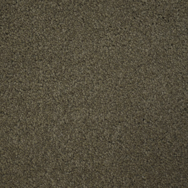 Terrier - Image 6