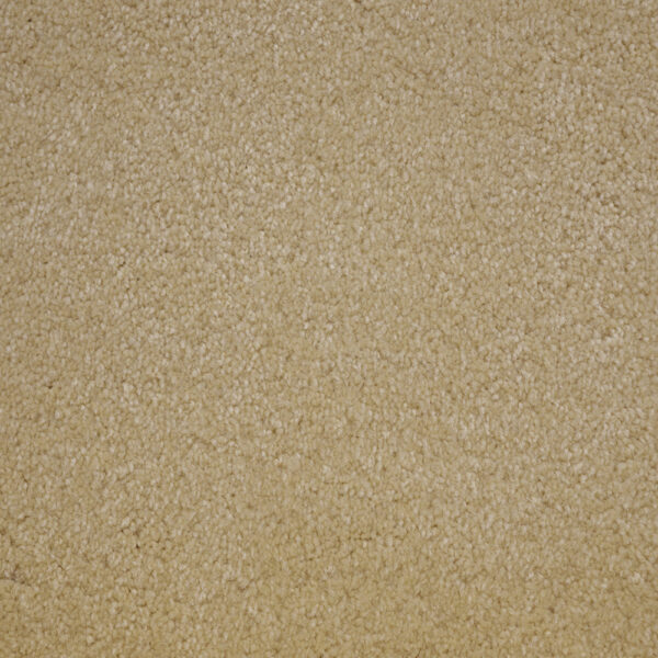 Terrier - Image 7