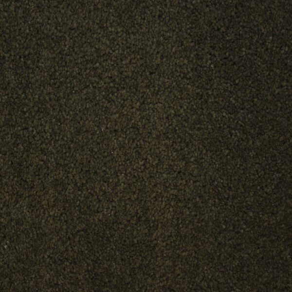 Terrier - Image 8