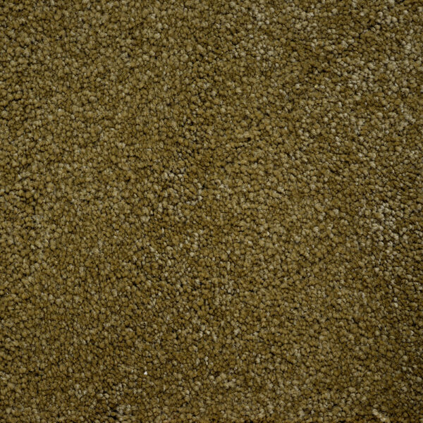 Terrier - Image 10