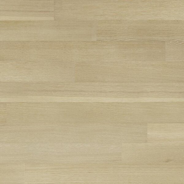 Coastline | Nautical Mile | Rift Oak