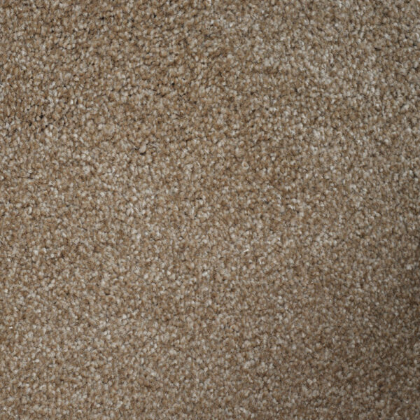 Terrier - Image 12