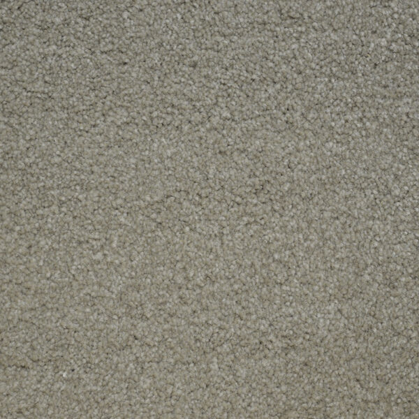 Collie for Moore Flooring + Design webpage Collie