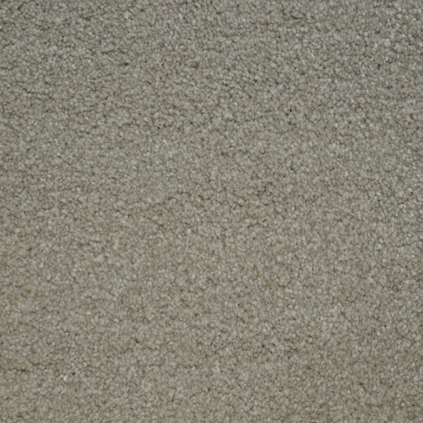 Terrier - Image 13