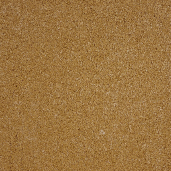 Terrier - Image 14