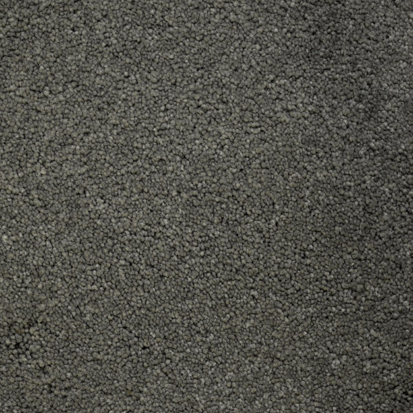 Terrier - Image 15