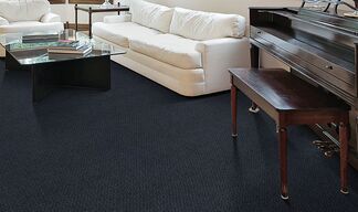 Beaulieu Carpet shaw carpet for Moore Flooring + Design webpage Beaulieu Carpet