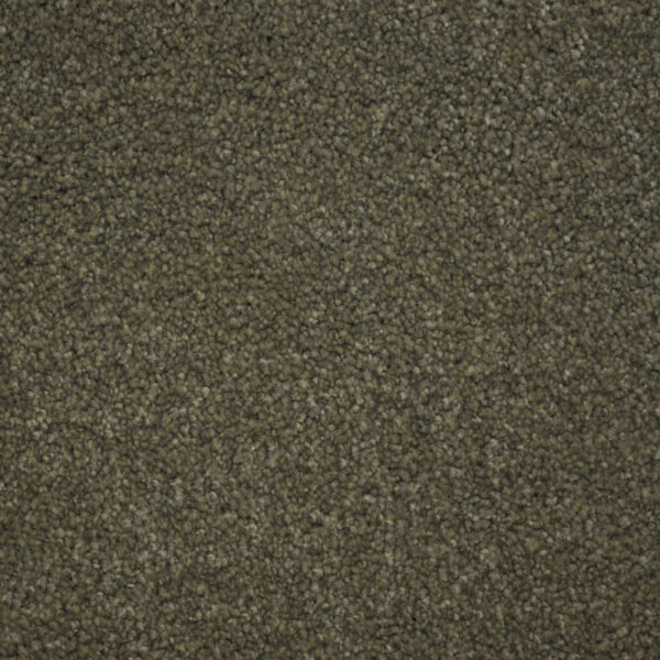 Terrier - Image 16