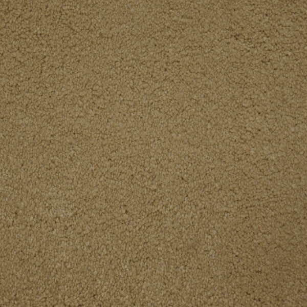 Terrier - Image 18