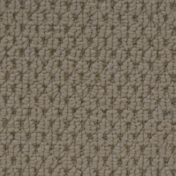 Cupido II - Image 6
