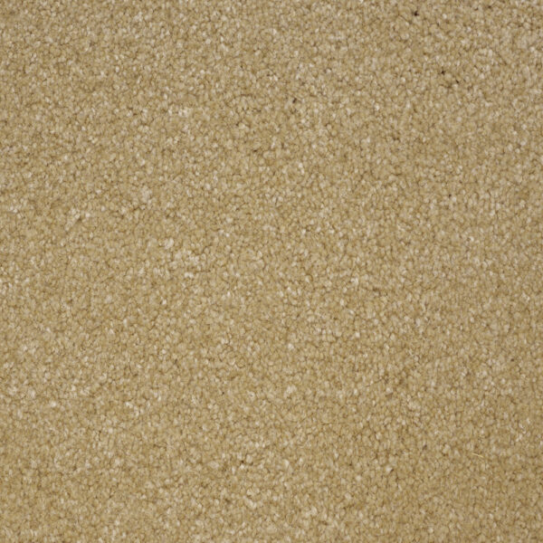 Terrier - Image 19