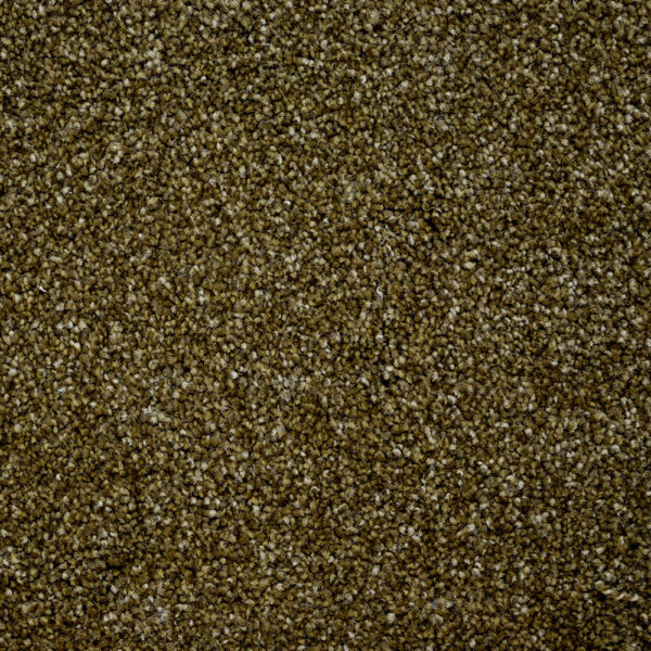 Terrier - Image 20