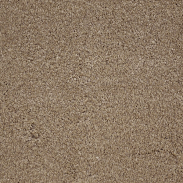 Terrier - Image 21