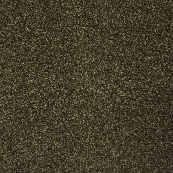 Terrier - Image 22