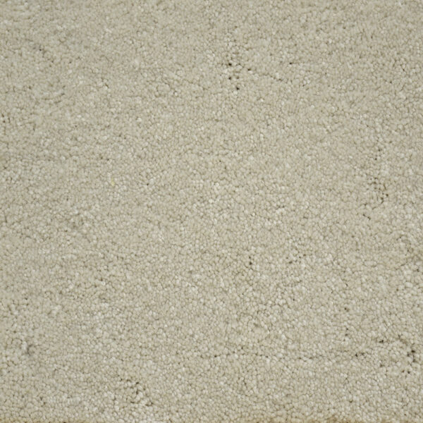 Collie for Moore Flooring + Design webpage Collie