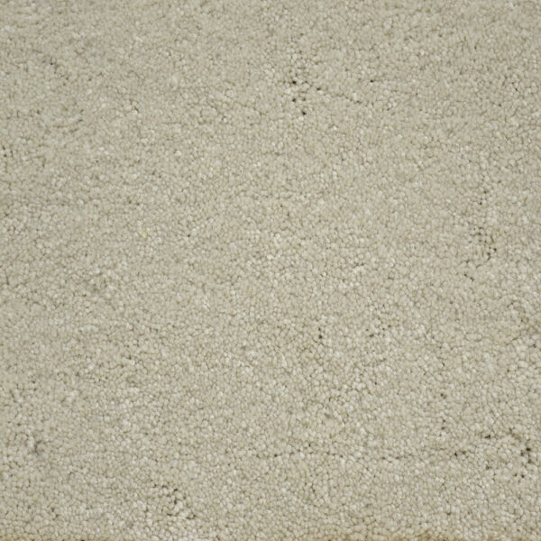 Terrier - Image 23