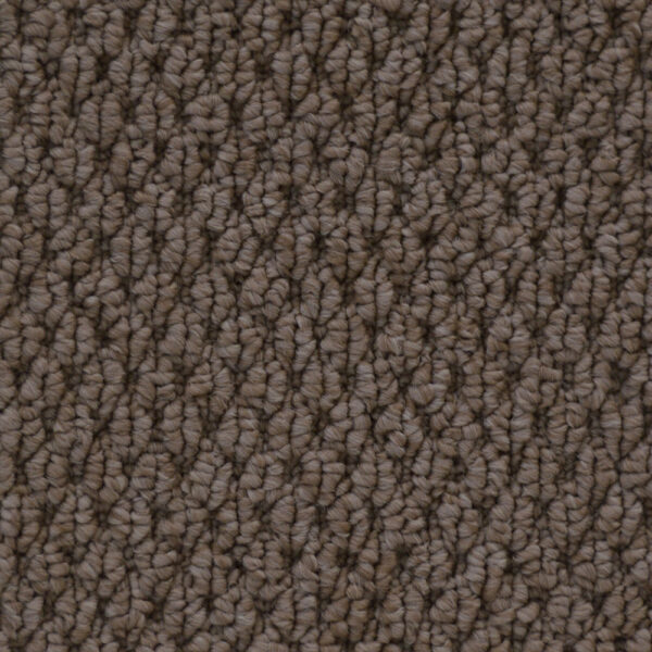 Cupido II - Image 13