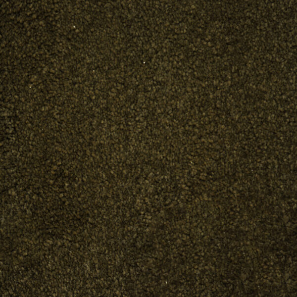 Terrier - Image 25
