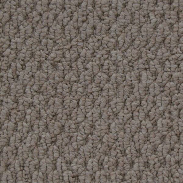 Cupido II - Image 15