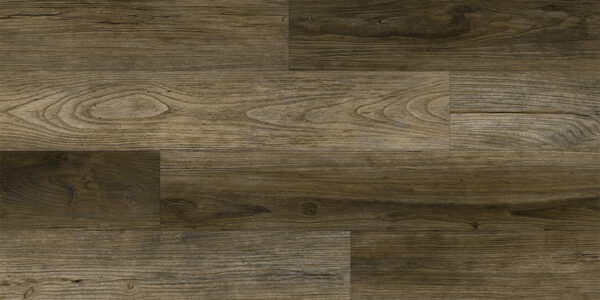 Divine Elm Border for Moore Flooring + Design webpage Divine Elm Border