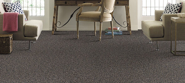 Beaulieu Carpet beaulieu carpet for Moore Flooring + Design webpage Beaulieu Carpet