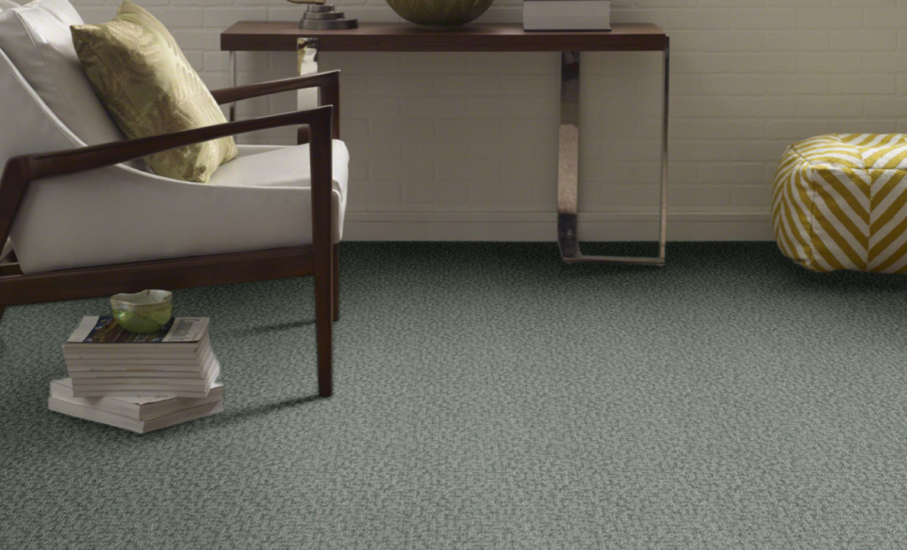 Shaw Carpet shaw carpet for Moore Flooring + Design webpage Shaw Carpet