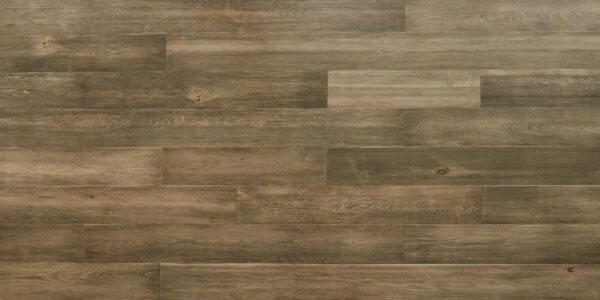 Birch - Almond Latte for Moore Flooring + Design webpage Birch - Almond Latte