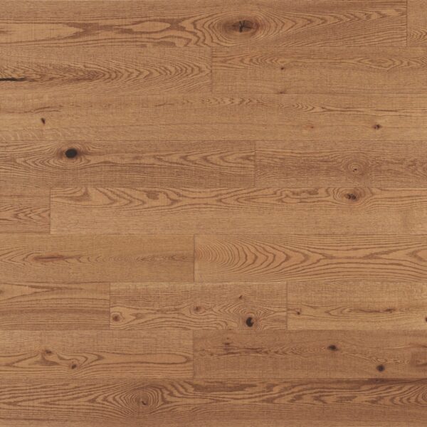 Red Oak - Papyrus