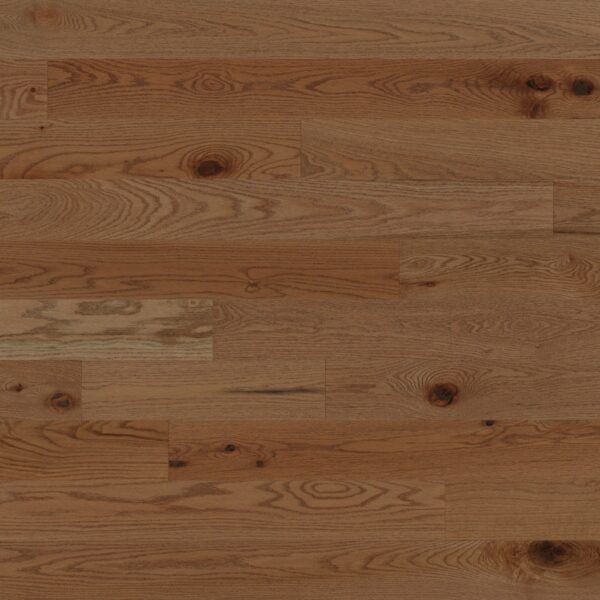 Red Oak - Carmel for Moore Flooring + Design webpage Red Oak - Carmel