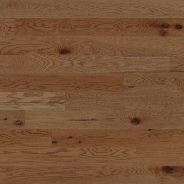 Red Oak - Carmel