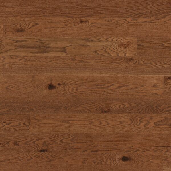 Red Oak - Cold Springs for Moore Flooring + Design webpage Red Oak - Cold Springs