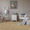 White Oak - Amarone - Image 2