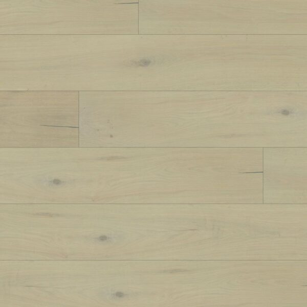White Oak - Cohen