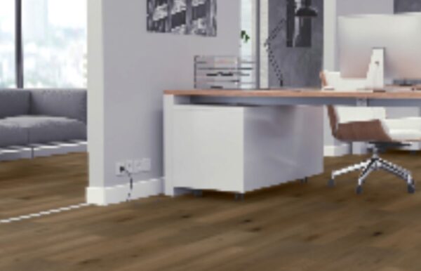 Oak - Pando - Image 2